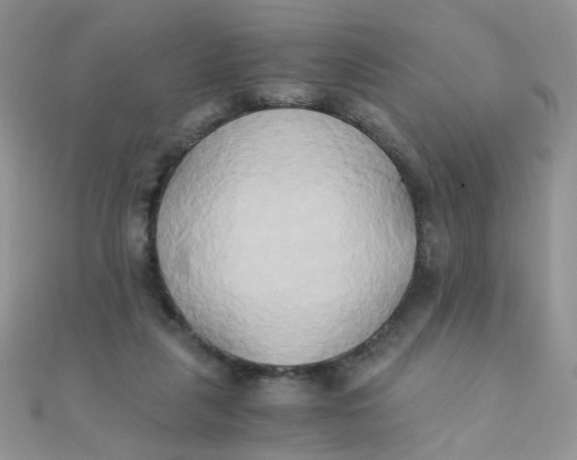 X0000110320259200906042049