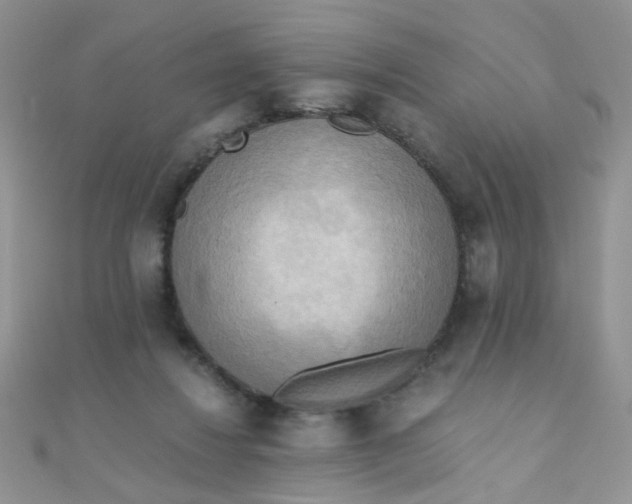 X0000110320260200906042049