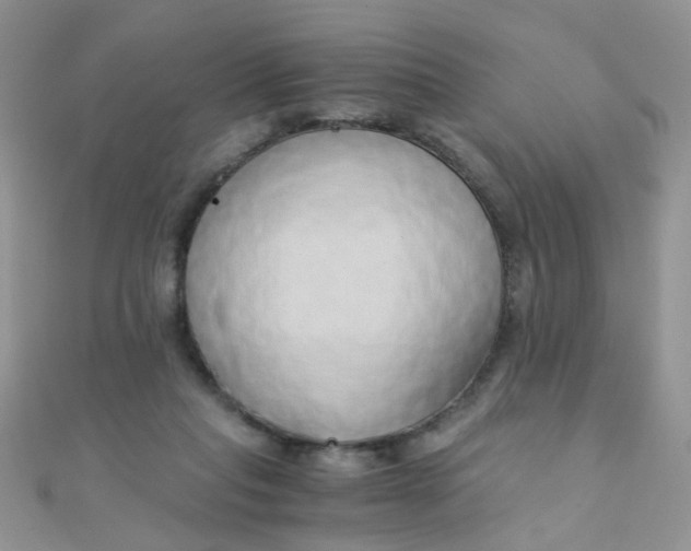 X0000110320261200906042049