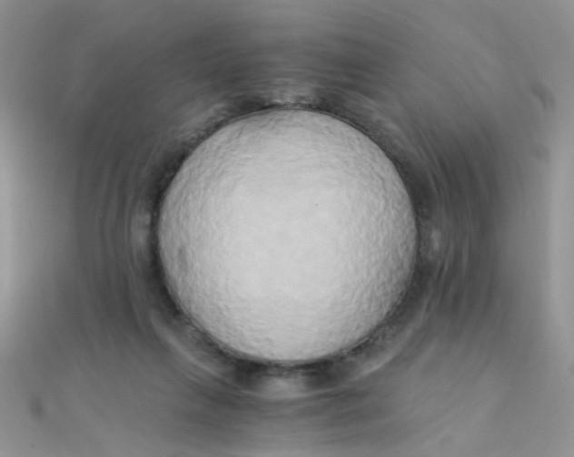 X0000110320263200906042049