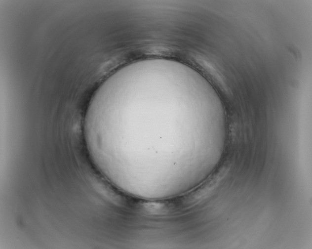 X0000110320265200906042049