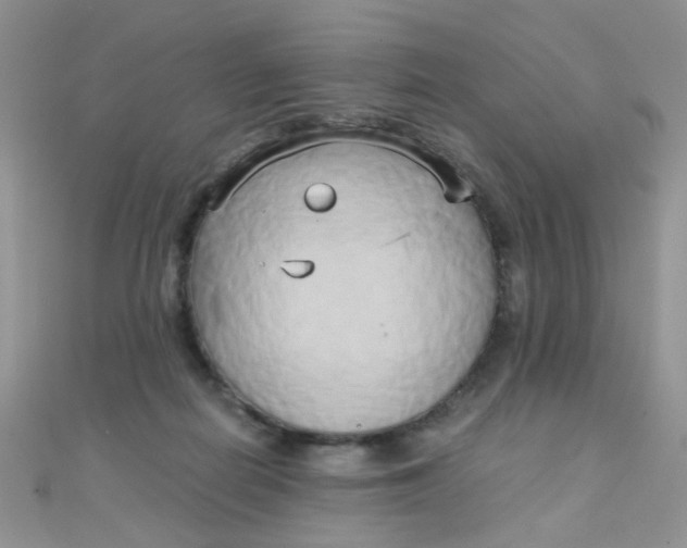 X0000110320266200906042049