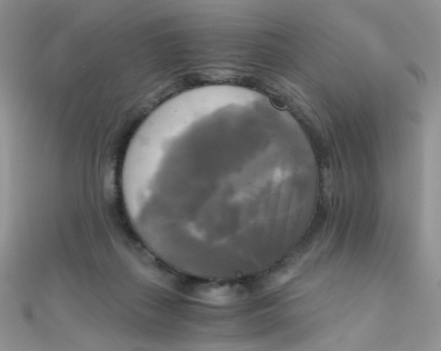 X0000110320267200906042049