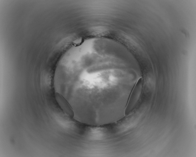 X0000110320268200906042049