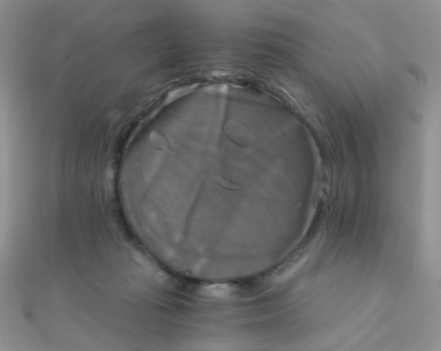 X0000110320269200906042049