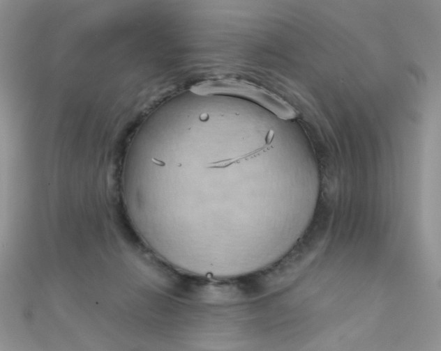 X0000110320270200906042049