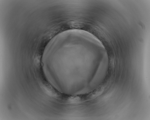 X0000110320271200906042049