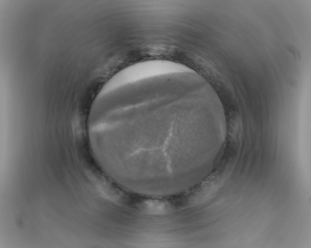 X0000110320272200906042050