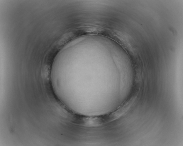 X0000110320273200906042050