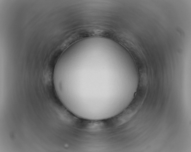 X0000110320274200906042050