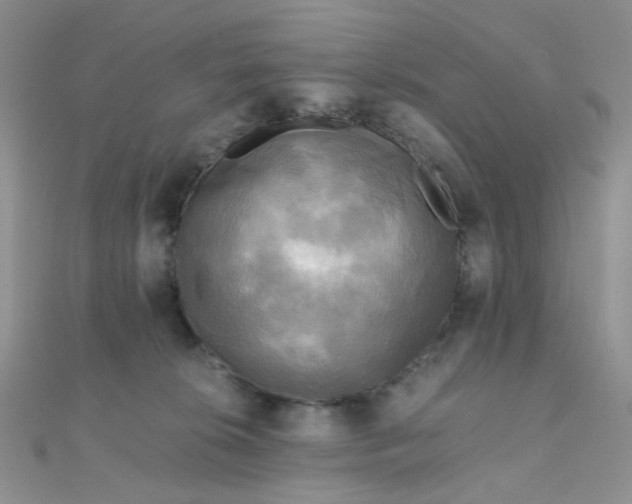 X0000110320276200906042050