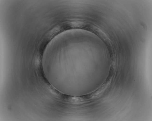 X0000110320277200906042050