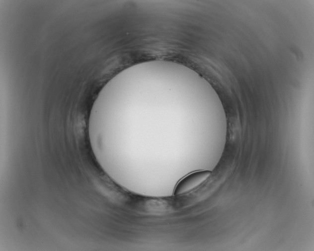 X0000110320279200906042050