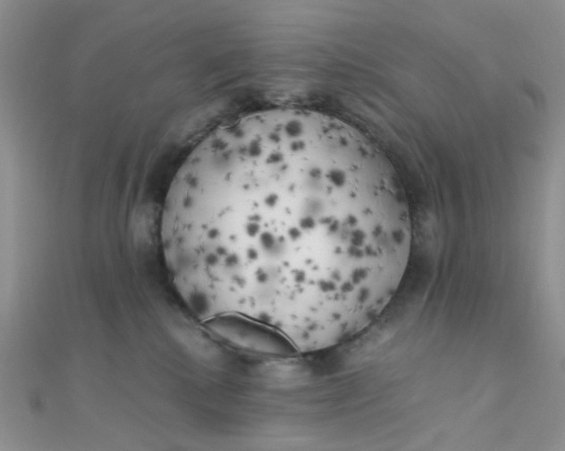 X0000110320280200906042050