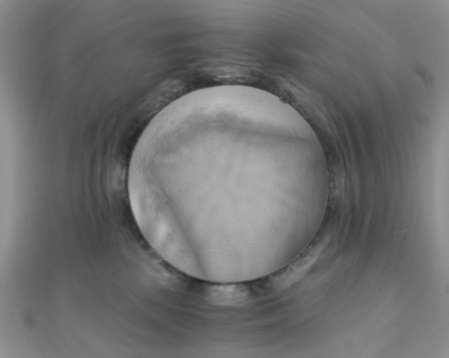 X0000110320281200906042050