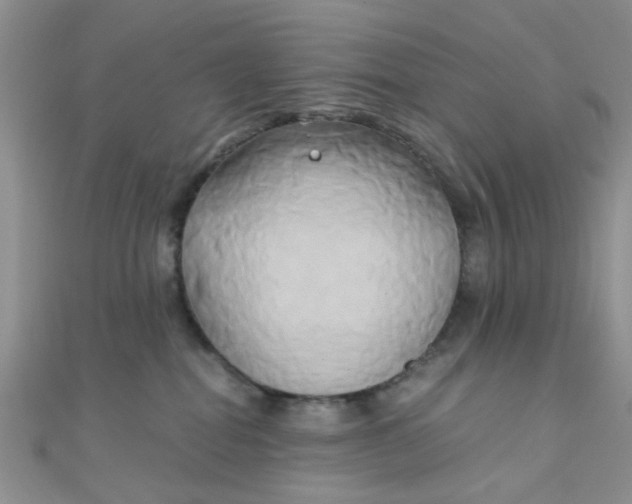 X0000110320282200906042050