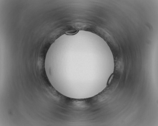 X0000110320283200906042050