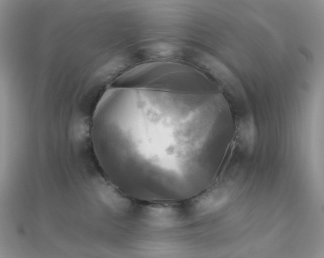 X0000110320284200906042050