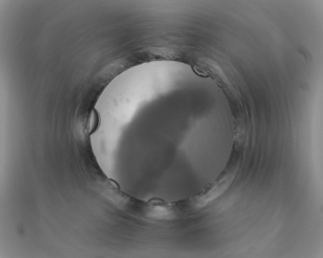 X0000110320285200906042050