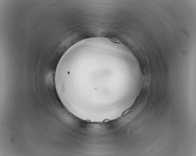 X0000110320286200906042050