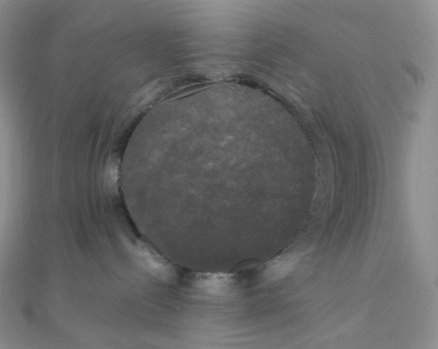 X0000110320288200906042050