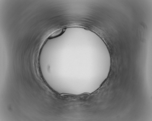 X0000110320289200906042049