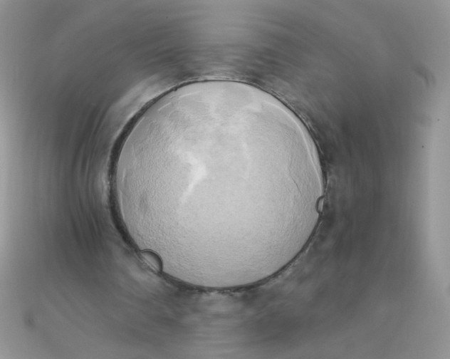 X0000110320290200906042049