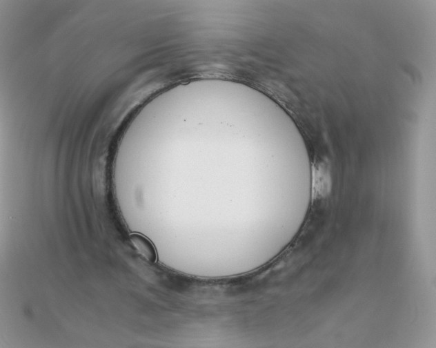 X0000110320291200906042049