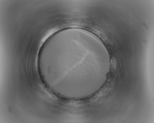 X0000110320292200906042049