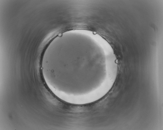 X0000110320293200906042049