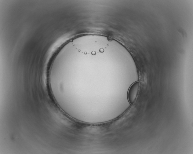 X0000110320294200906042049