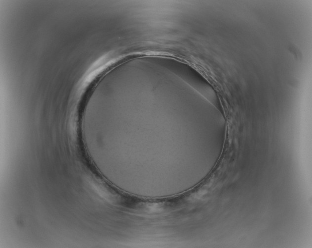 X0000110320295200906042049