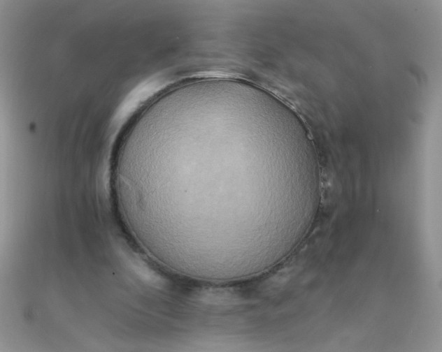 X0000110320296200906042049