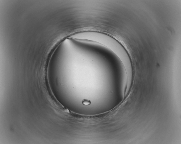 X0000110320297200906042049