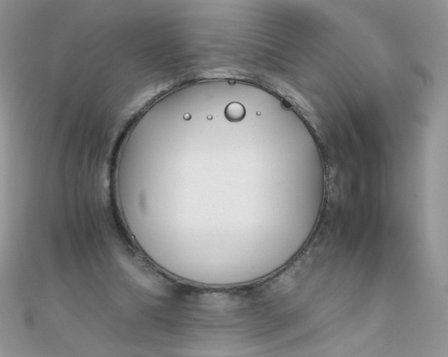 X0000110320298200906042049