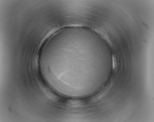 X0000110320300200906042049