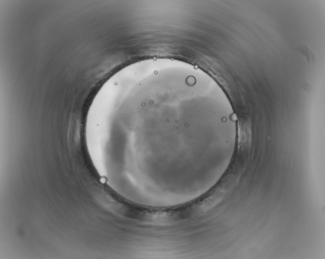 X0000110320301200906042049