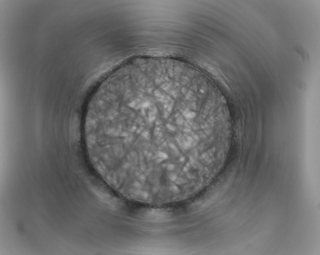 X0000110320303200906042049