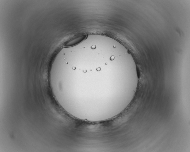 X0000110320306200906042049