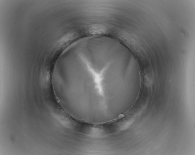 X0000110320308200906042049