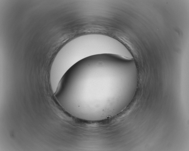 X0000110320309200906042049