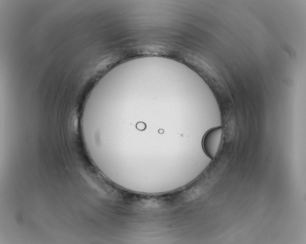 X0000110320310200906042049