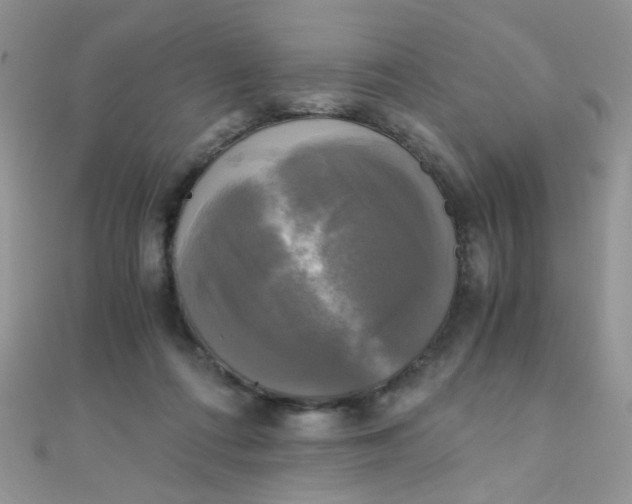 X0000110320312200906042049