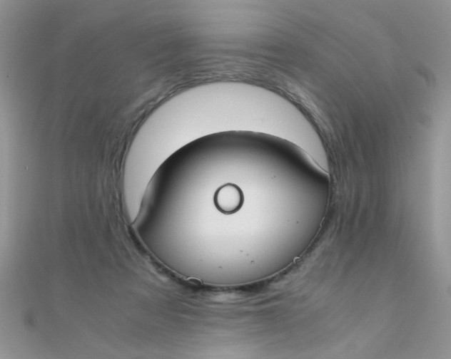 X0000110320313200906042049