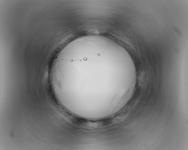 X0000110320314200906042049