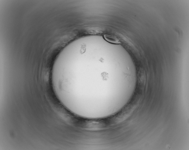 X0000110320315200906042049