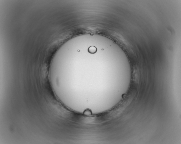 X0000110320318200906042049