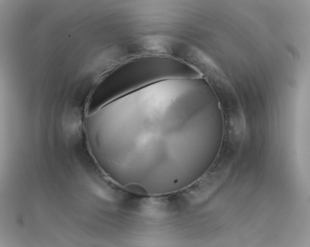 X0000110320320200906042049