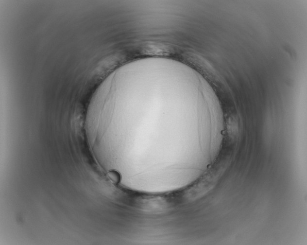 X0000110320322200906042049