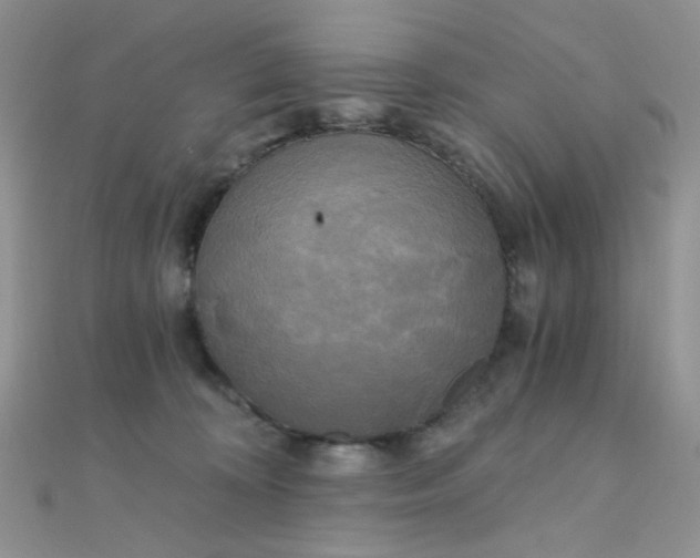 X0000110320324200906042049